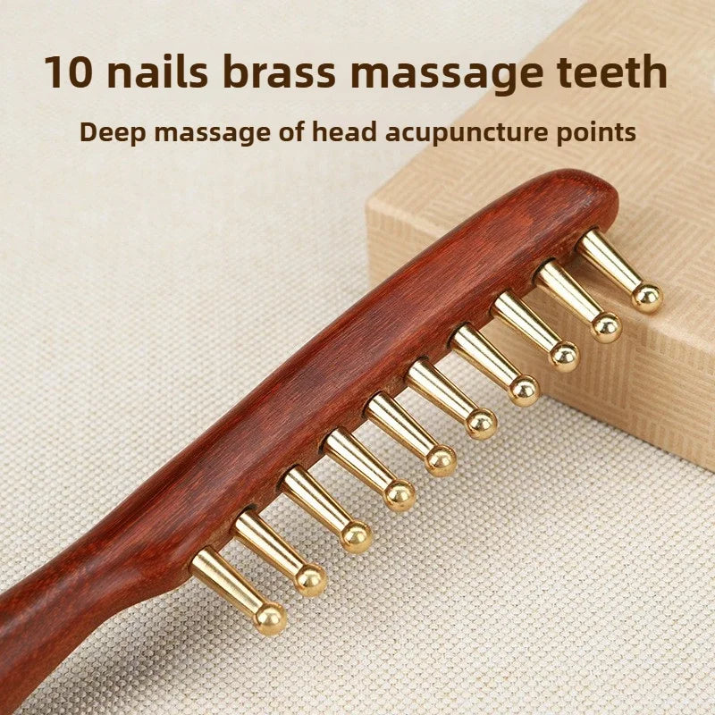 Peigne de massage crânien – vue détaillée